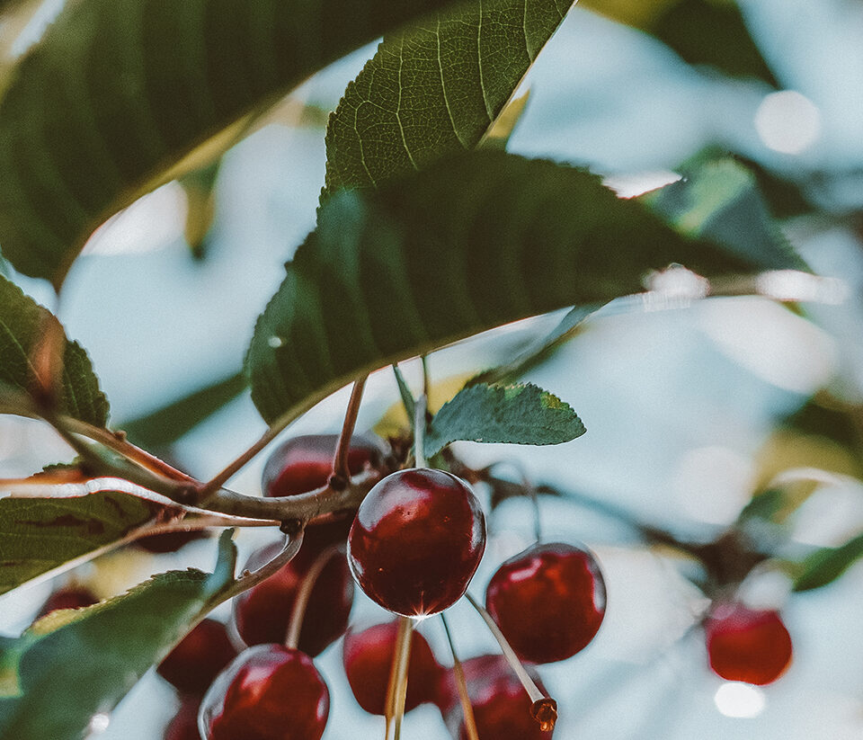 Abbildung der Beitrag Bürgermeisterbrief 06/2022
