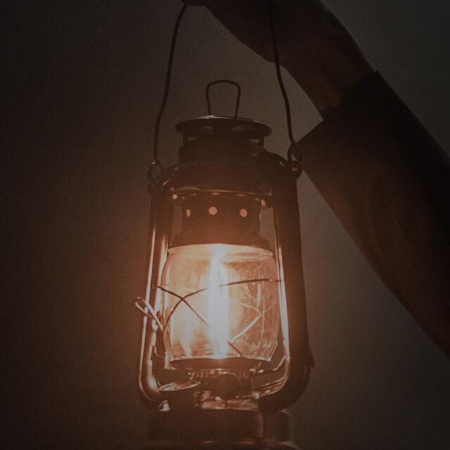 Abbildung der Aktivität  Mit dem Guide durch Jois