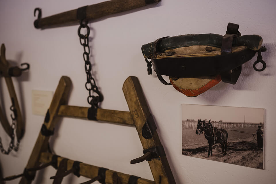 Abbildung der Aktivität  Museum Jois