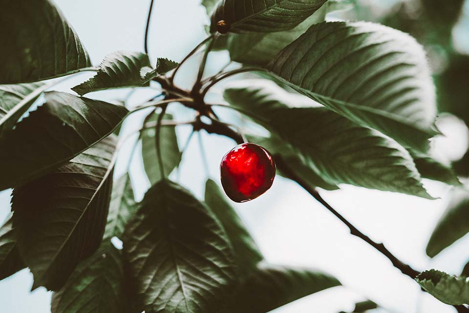 Abbildung der Beitrag Alles neu macht der Mai