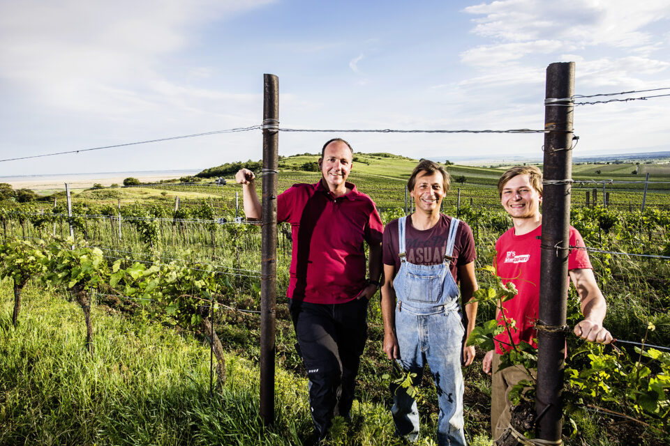 Abbildung der Branchen Verzeichnis Naturweingut Joiseph