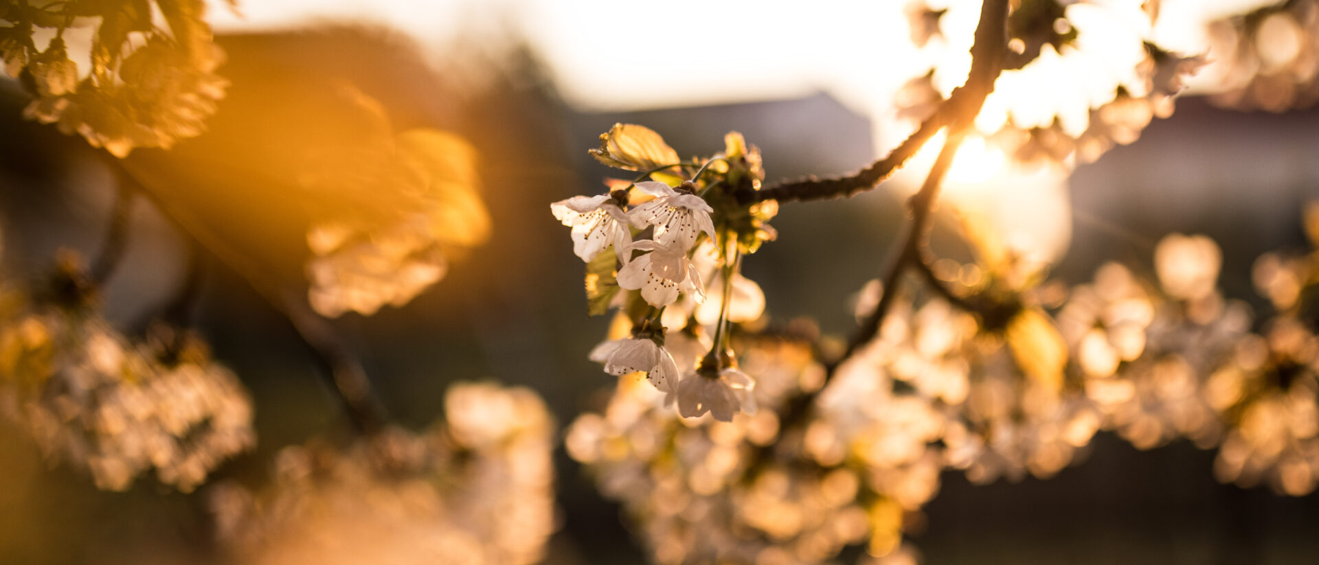 Abbildung der Beitrag Altstoffsammelstelle am 26.04.25 geschlossen