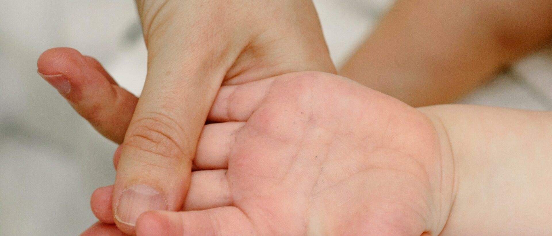 Abbildung der Beitrag MOKI Familienzirkel