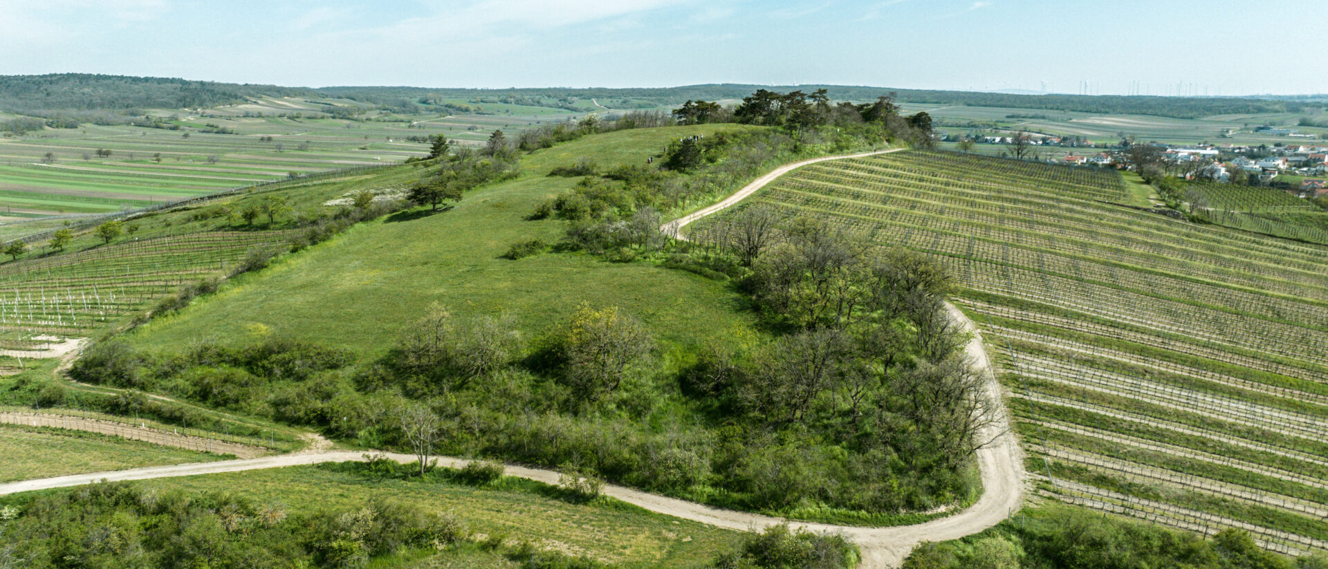 Abbildung der Beitrag Bürgermeisterbrief 06/23