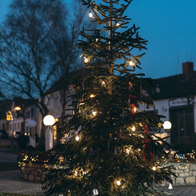 Abbildung der Beitrag Weihnachtswünsche