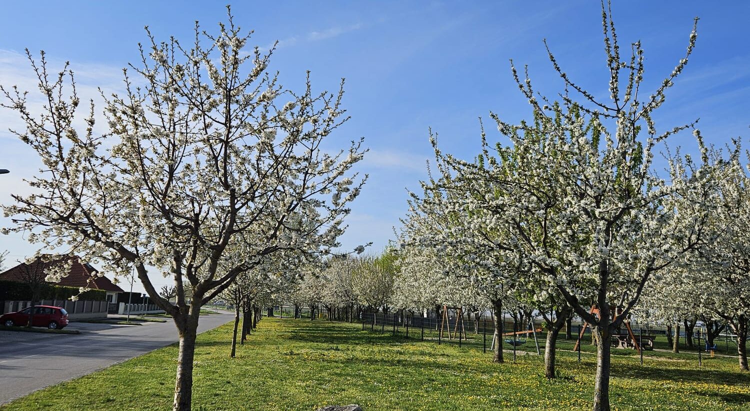 Abbildung der Beitrag Bürgermeisterbrief 04/2025