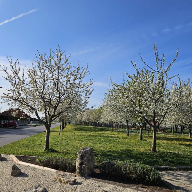 Abbildung der Beitrag Bürgermeisterbrief 04/2025